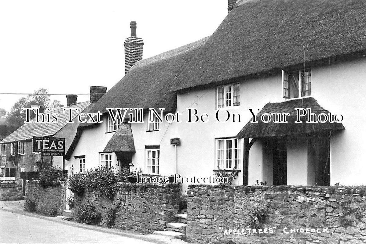 DO 3361 - Appletrees Tea Room, Chideock, Dorset