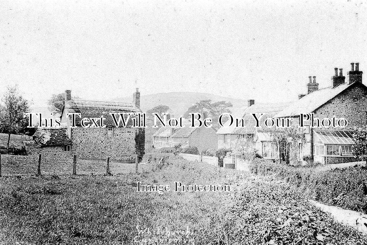 DO 46 - Whitchurch, Canonicorum, Dorset