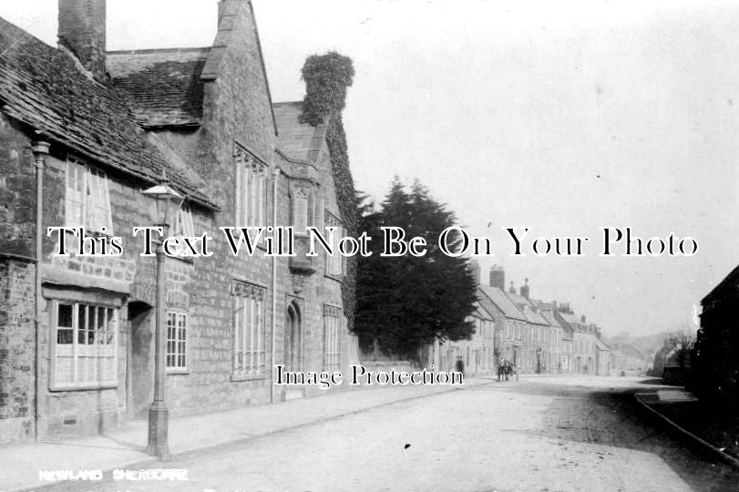 DO 541 - Newlands, Sherborne, Dorset c1905