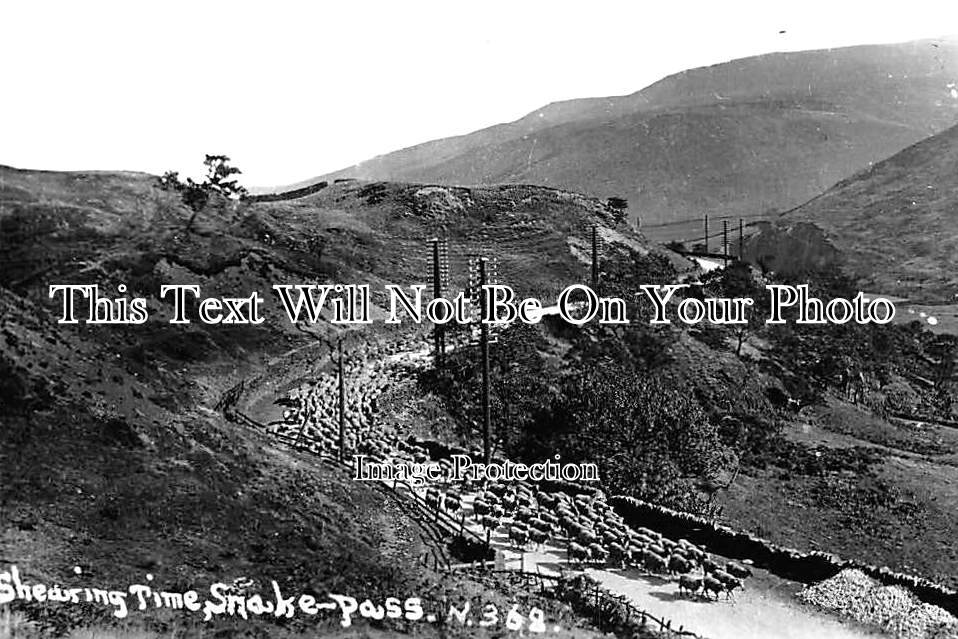 DR 1958 - Shearing Time, Snake Pass, Derbyshire