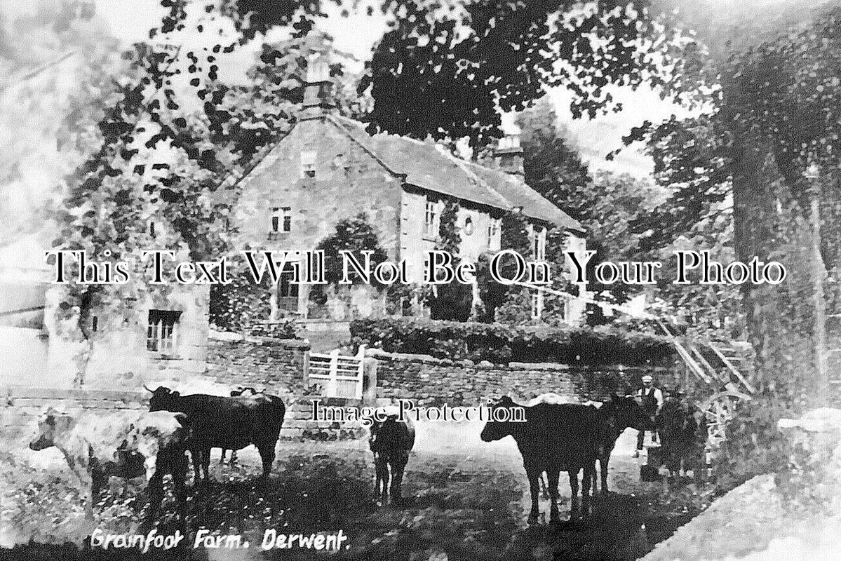 DR 3396 - Grainfoot Farm, Derwent, Ladybower, Derbyshire