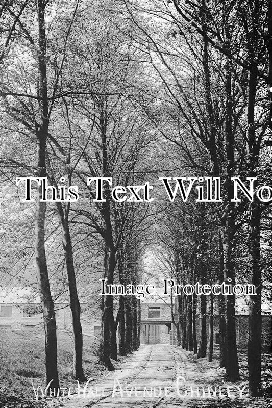 DR 3645 - White Wall Avenue, Chinley, Derbyshire c1906