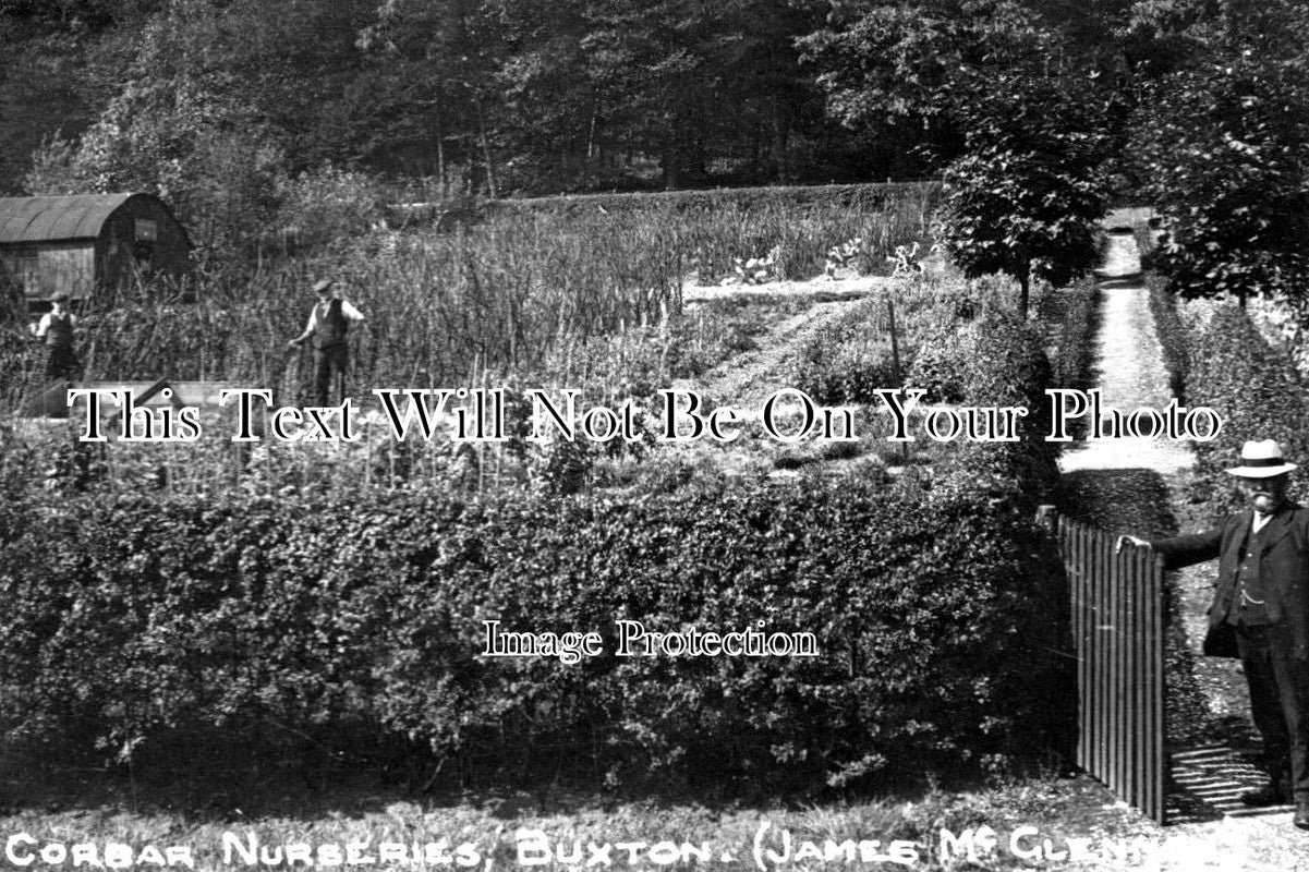 DR 388 - Buxton Corbar Nurseries, Derbyshire c1910