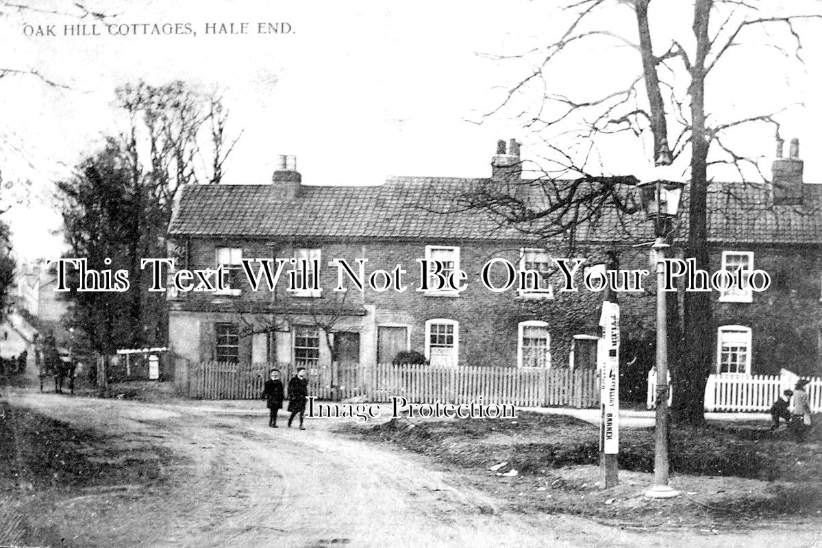 ES 2158 - Oak Hill Cottages, Hale End, Essex c1905