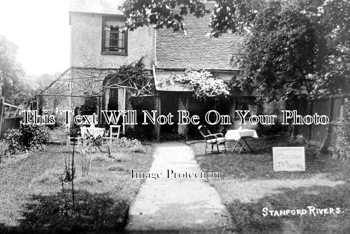 ES 3067 - The Cottage Tea Rooms, Stanford Rivers, Essex c1913