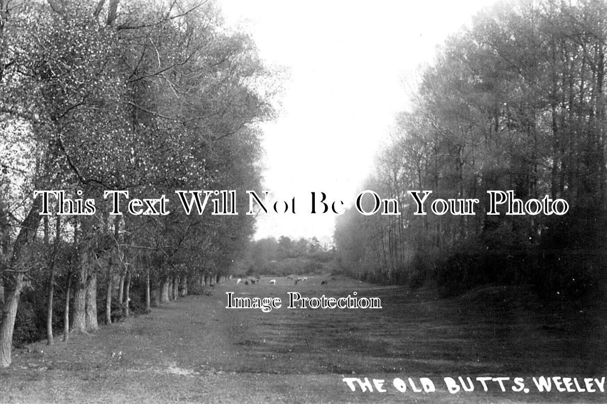 ES 3228 - The Old Butts, Weeley, Essex c1913