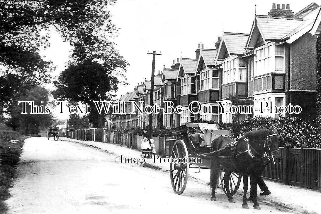 ES 3354 - Priest Lane, Shenfield, Essex c1909