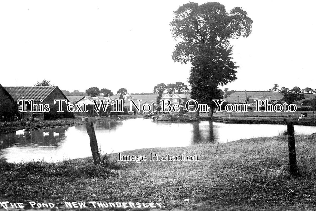 ES 3544 - The Pond, New Thundersley, Essex c1918