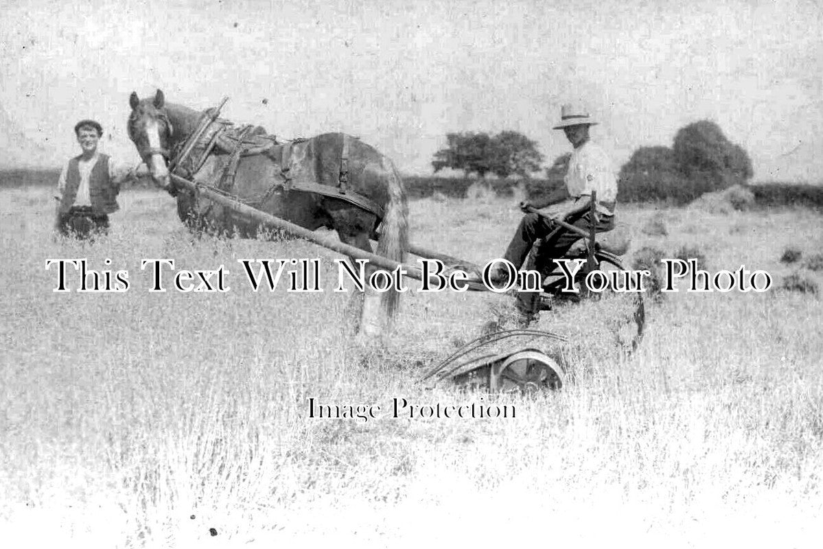 ES 3548 - Hadleigh Farming Scene, Essex