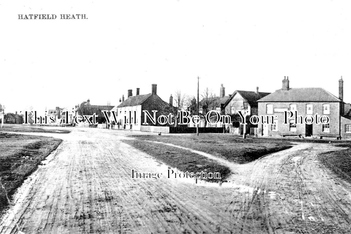 ES 3579 - Hatfield Heath, Essex c1907