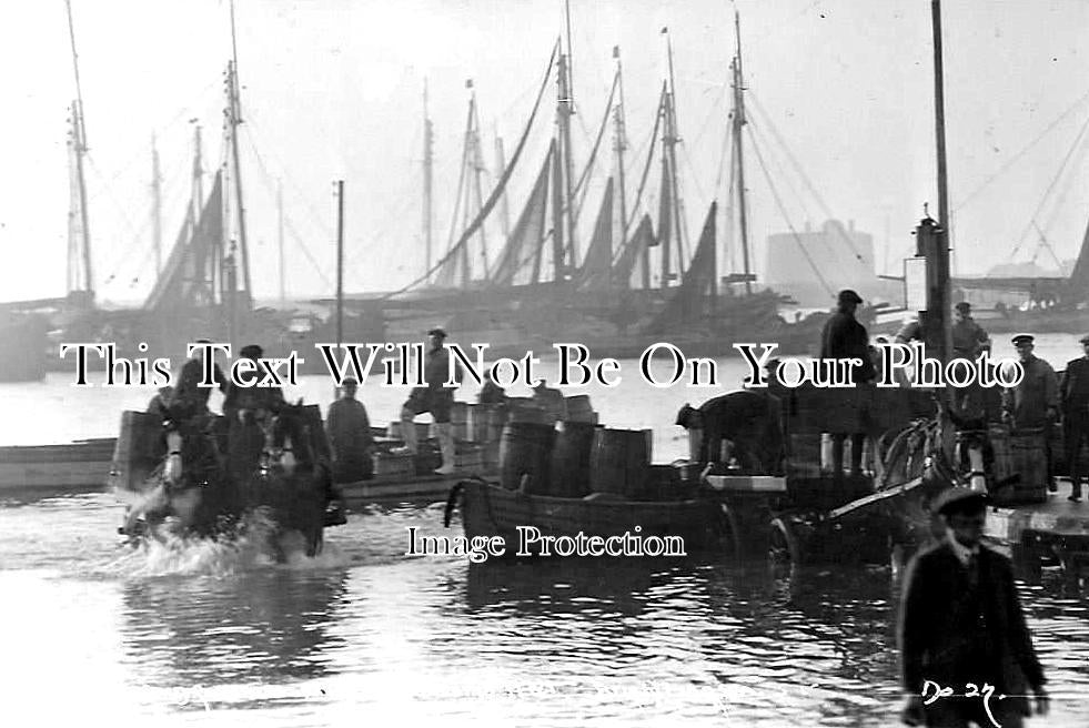 ES 3781 - Unloading Sprat, Brightlingsea, Essex