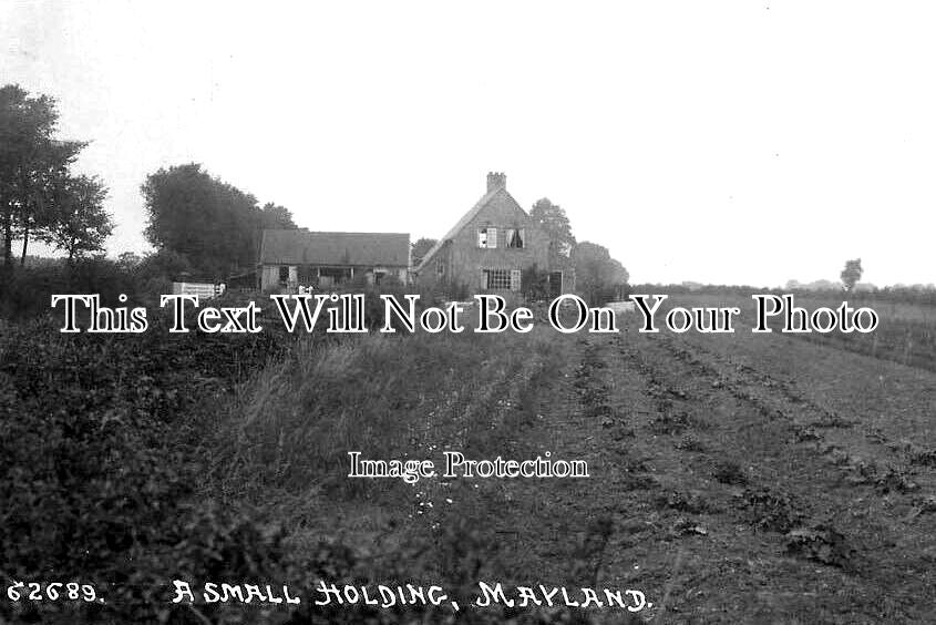ES 3874 - A Small Holding, Mayland, Essex