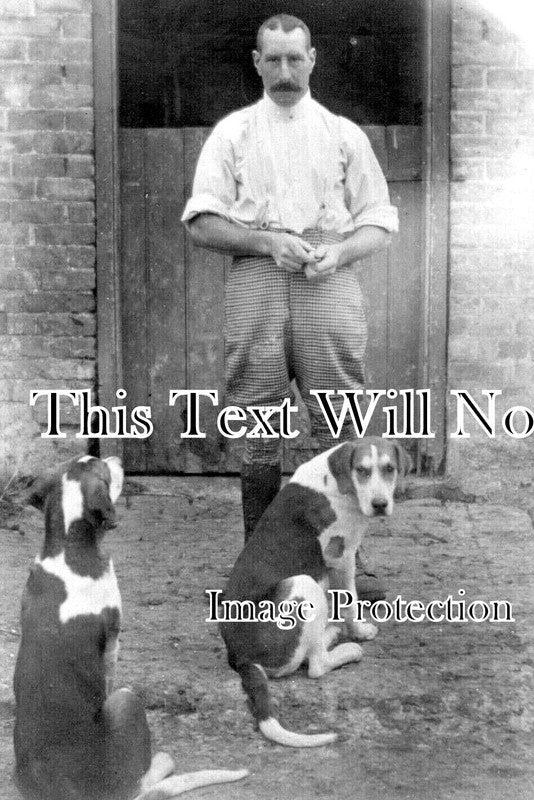 GL 1618 - Stonehouse Huntsman With Hounds, Gloucestershire c1910