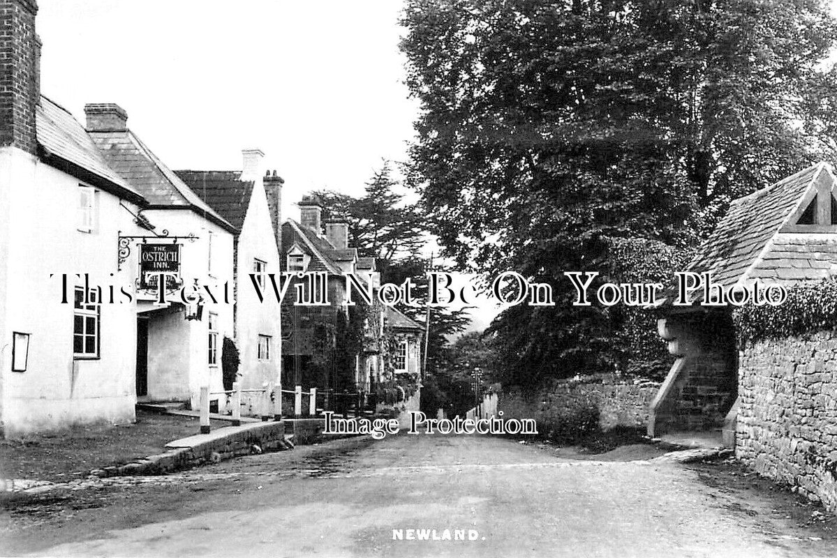 GL 2164 - The Ostrich Inn Pub, Newland, Coleford, Gloucestershire