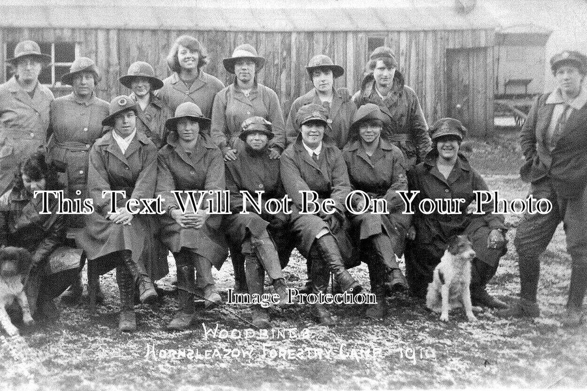 GL 2268 - Hornsleazow Forestry Camp, Gloucestershire 1910