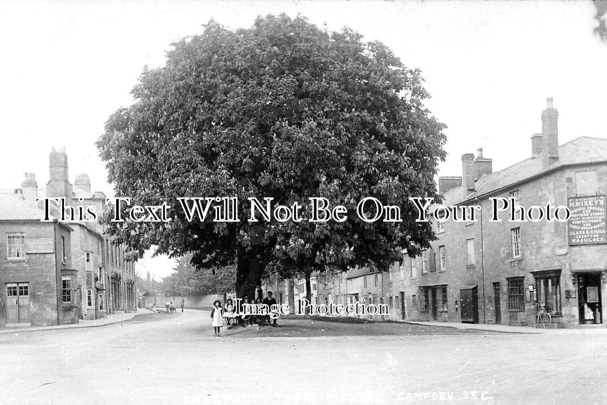 GL 2272 - Chestnut Tree, High Street, Chipping Campden, Gloucestershire