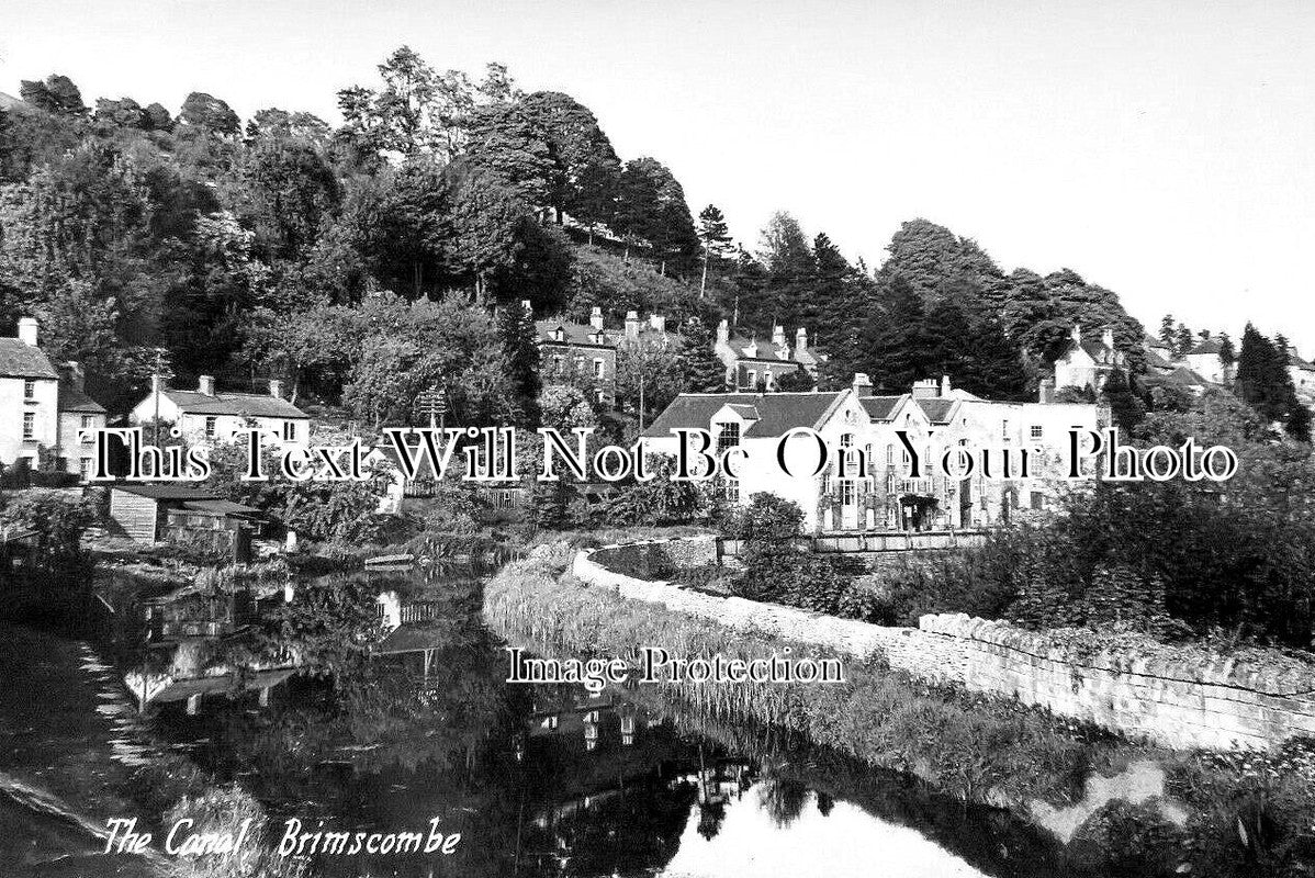 GL 2436 - The Canal, Brimscombe, Gloucestershire c1950
