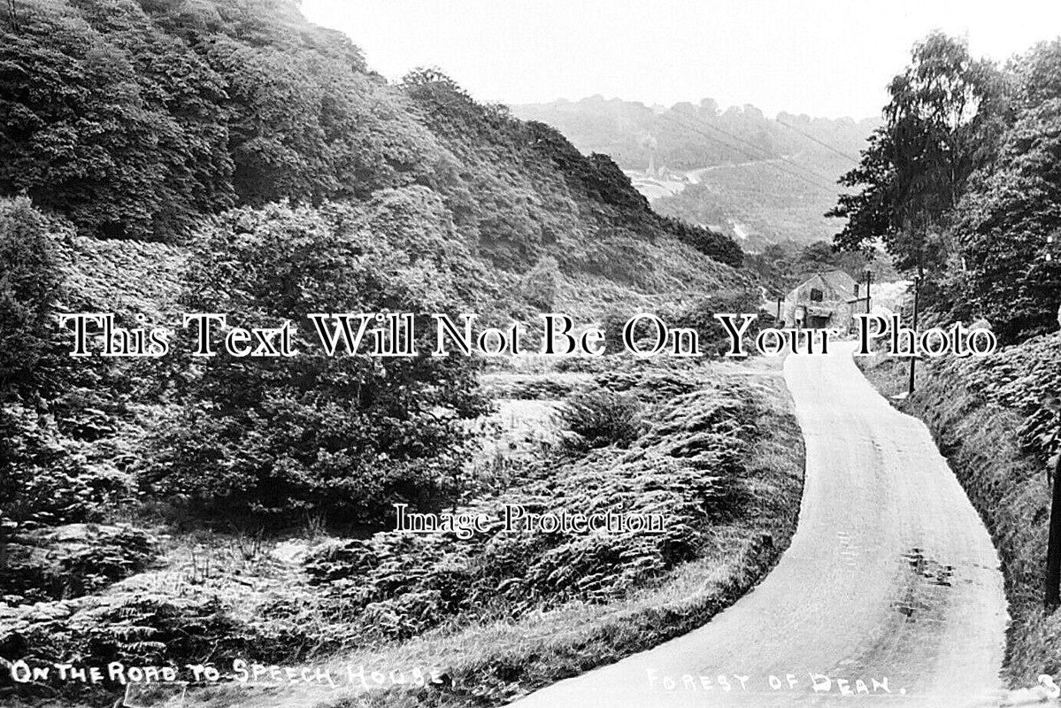 GL 2604 - Road To Speech House, Forest Of Dean, Gloucestershire