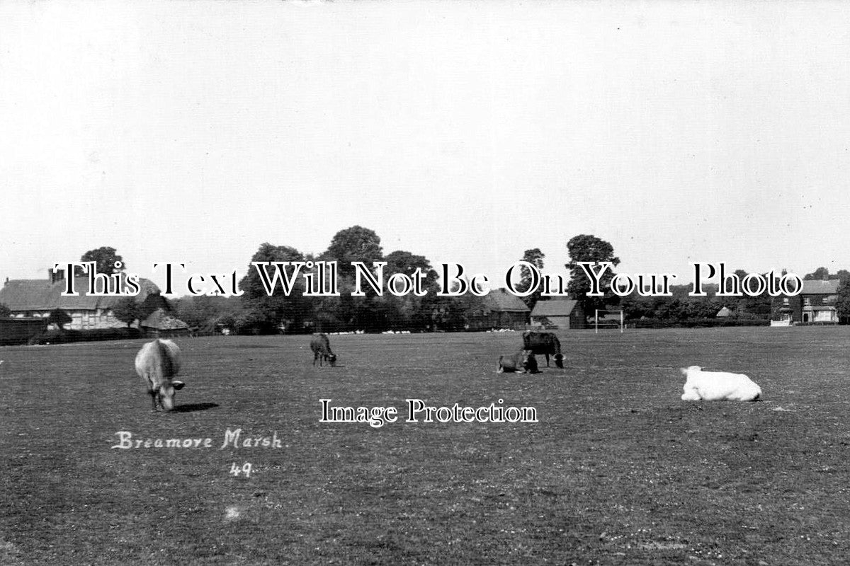 HA 1029 - Breamore Marsh, Hampshire