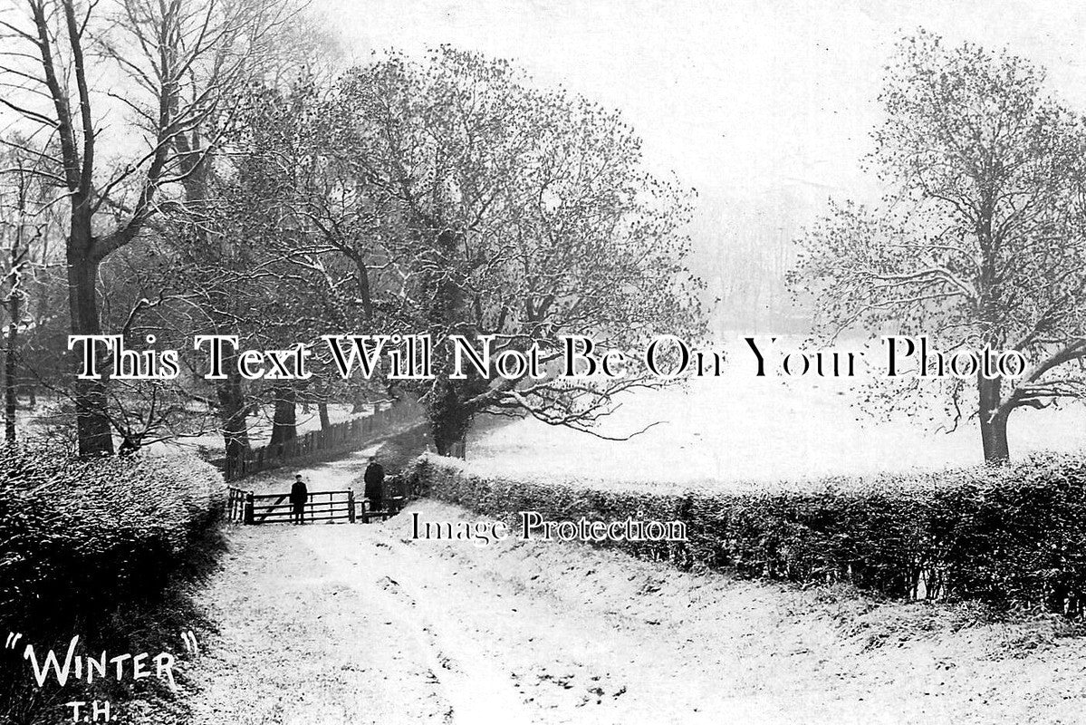 HA 1740 - Country Lane Near Basingstoke In Snow, Hampshire