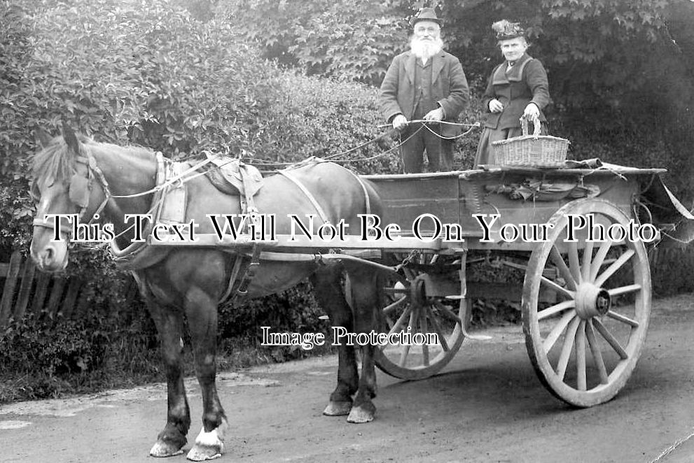 HA 2258 - Horse & Cart, Botley, Hampshire