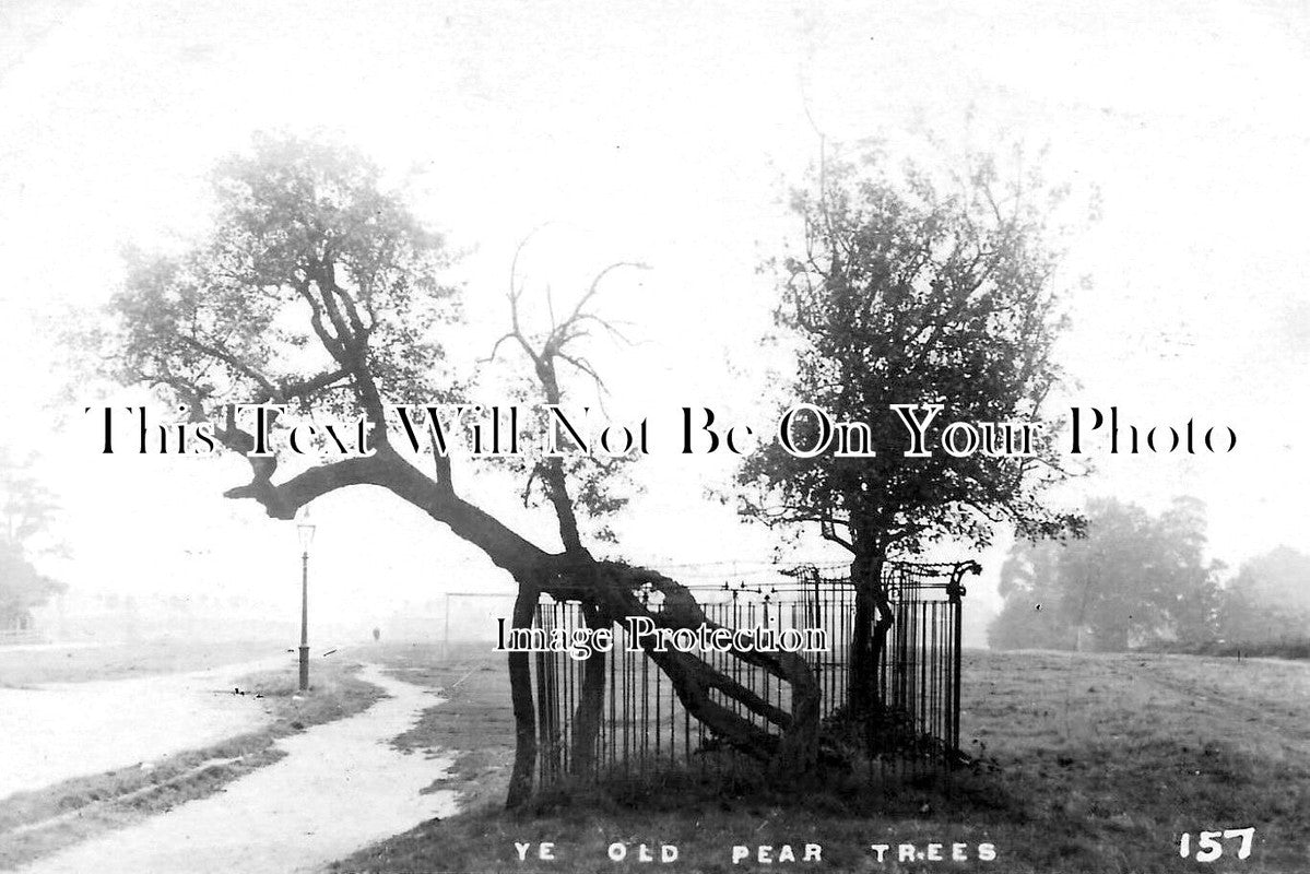 HA 2324 - The Pear Tree, Peartree Church, Woolston, Southampton