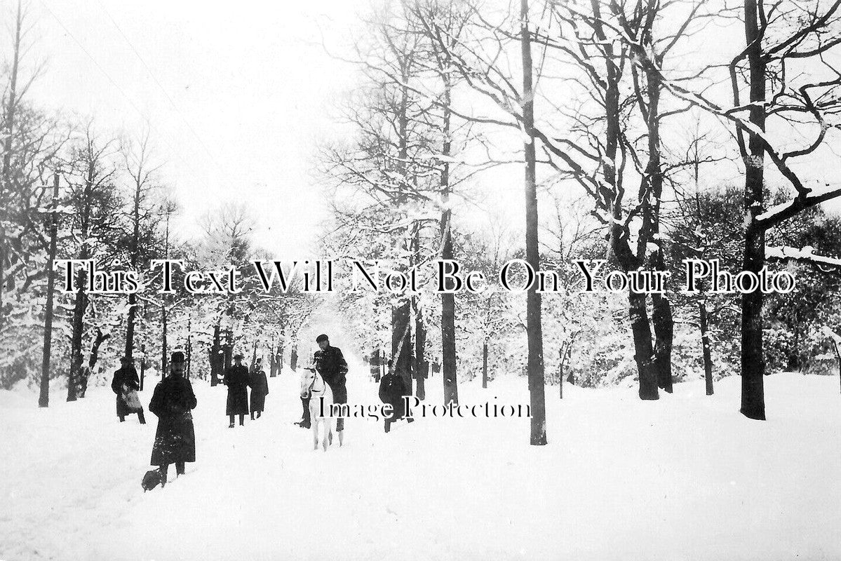 HA 2565 - Southampton Snow, Hampshire c1908