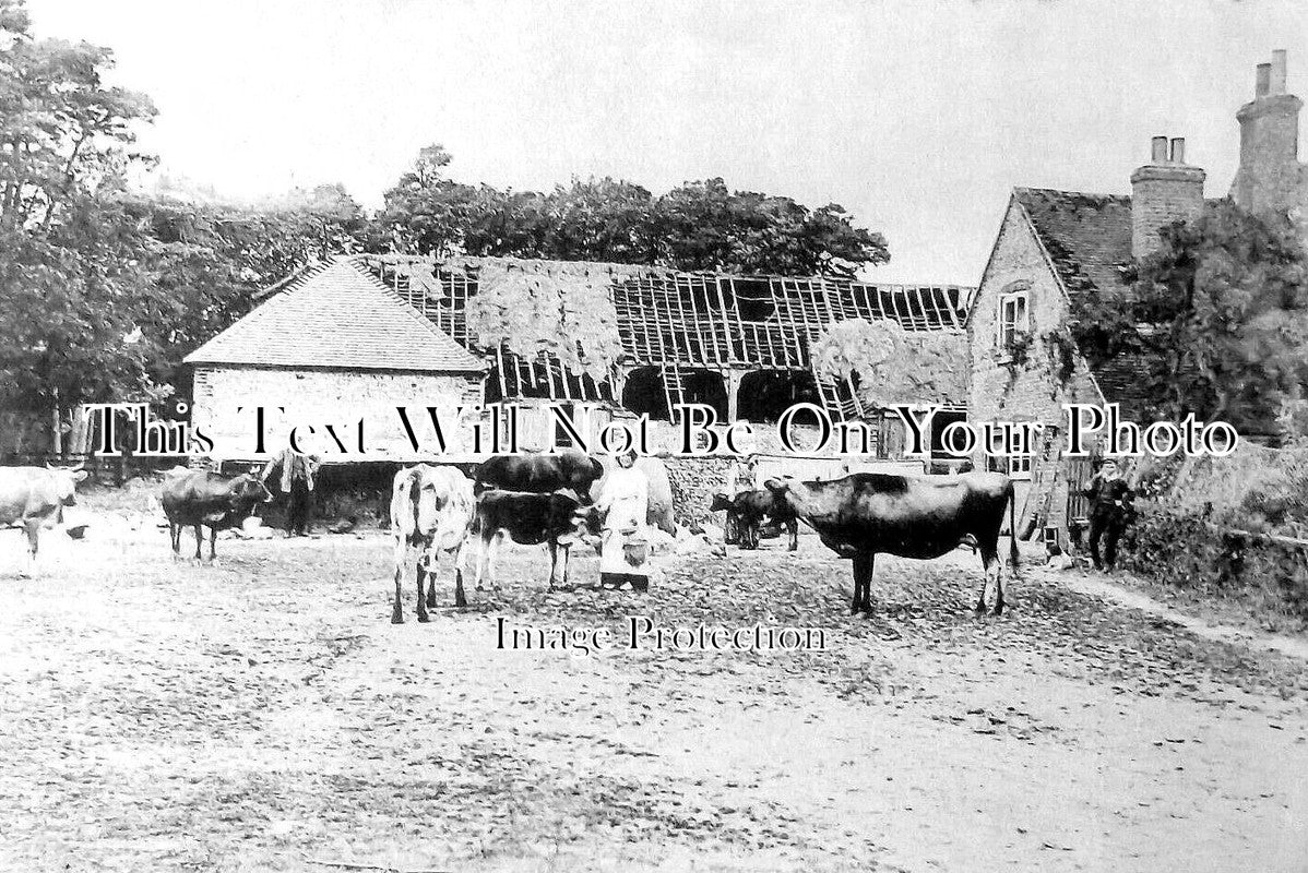 HA 2707 - Ridge Farm Near Emsworth, Hampshire
