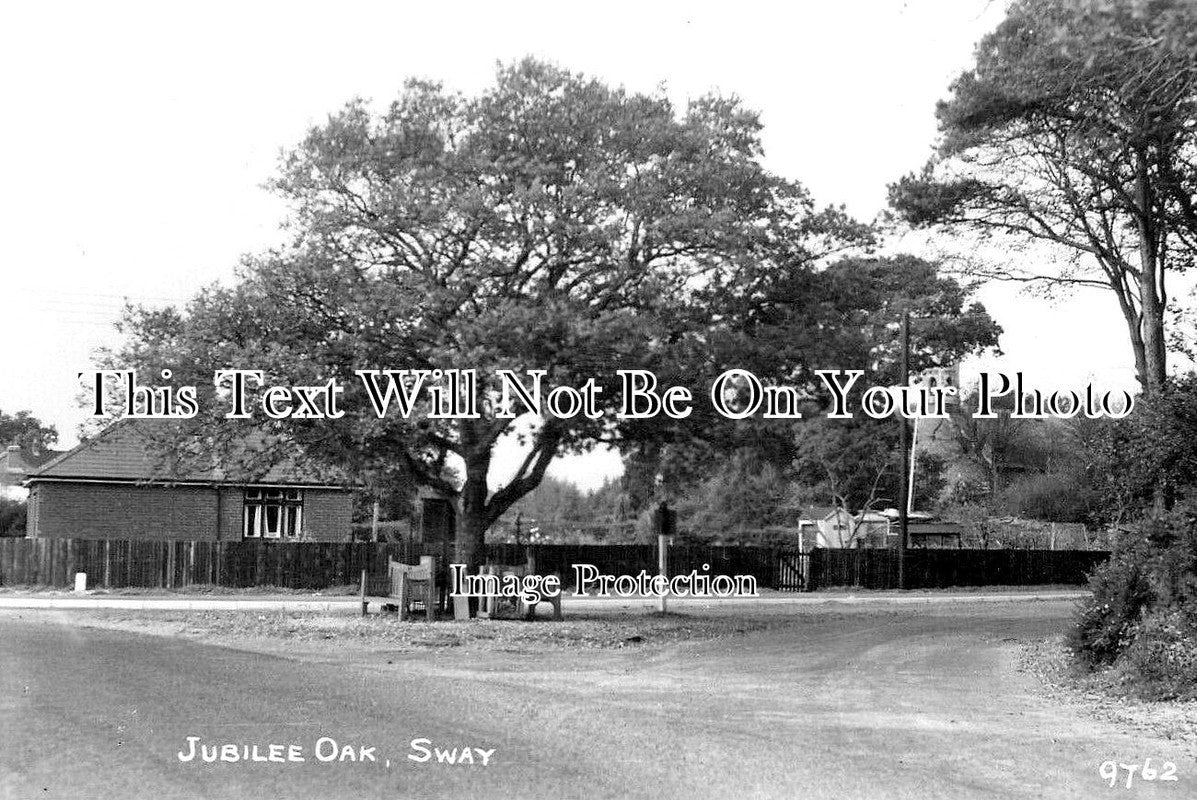 HA 3078 - Jubilee Oak, Sway, Hampshire