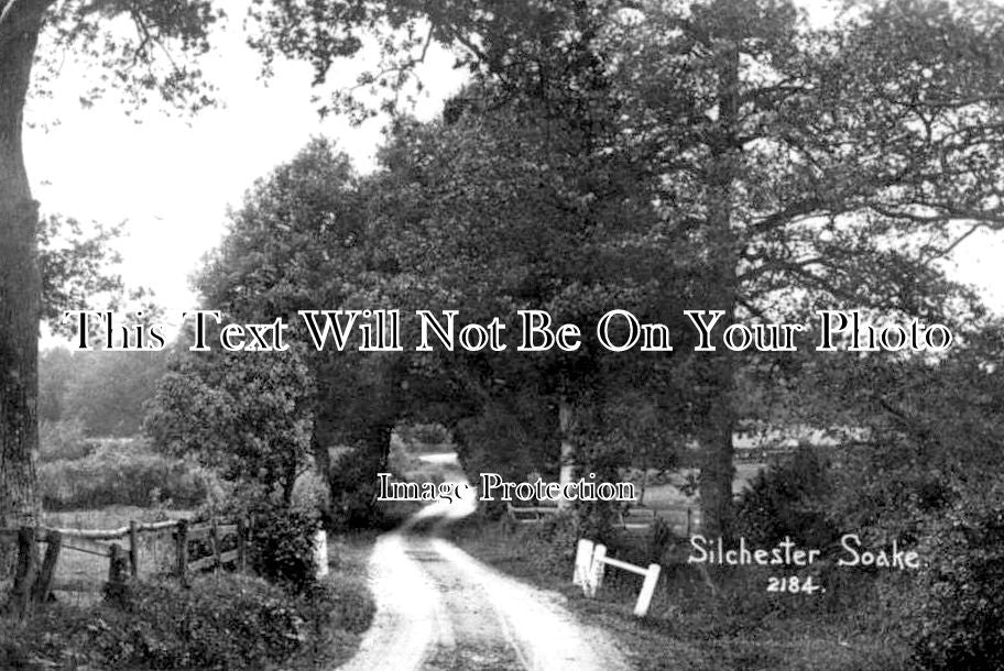 HA 3127 - Silchester Soake, Hampshire c1916