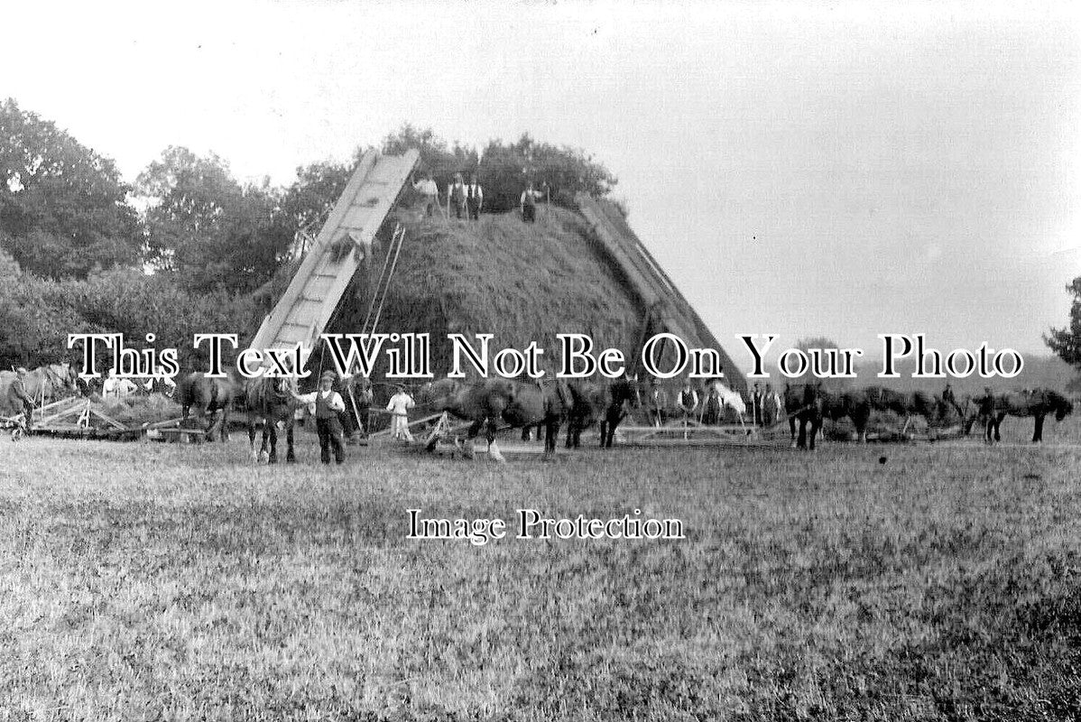 HA 3207 - Pigeon House Farm, Clanville, Andover, Hampshire c1917