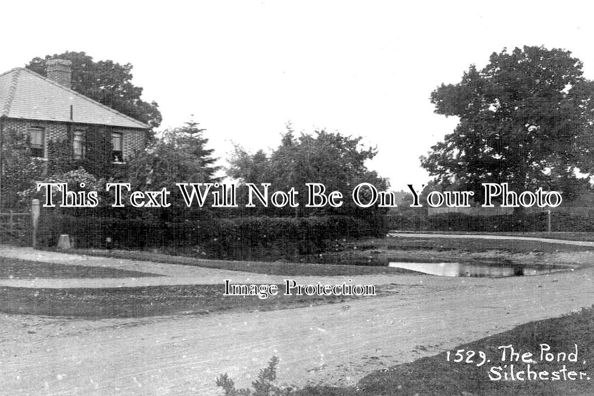 HA 3434 - The Pond, Silchester, Hampshire