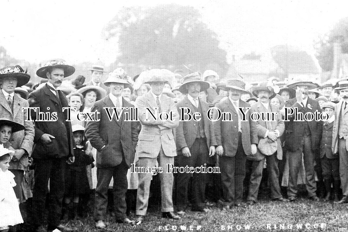 HA 3453 - Flower Show, Ringwood, Hampshire