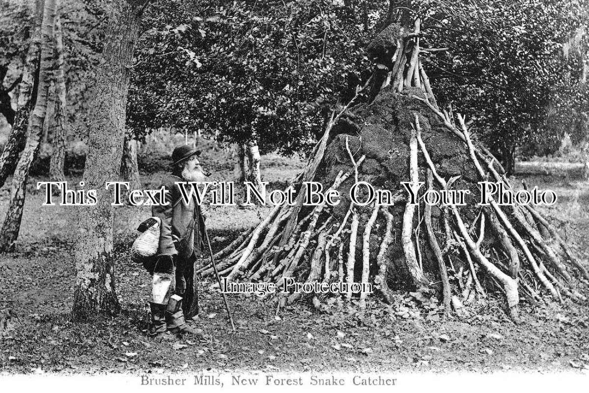 HA 3592 - Brusher Mills New Forest Snake Catcher, Hampshire