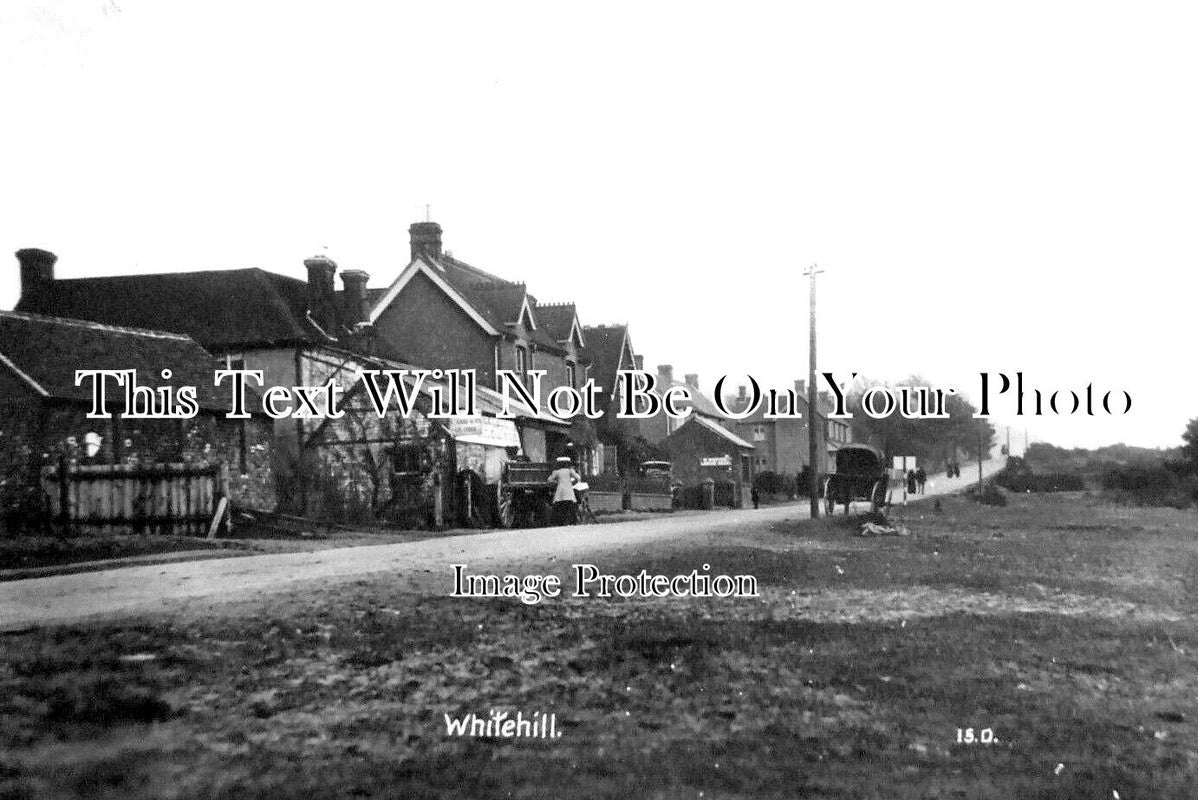 HA 3611 - Whitehill, Hampshire c1910