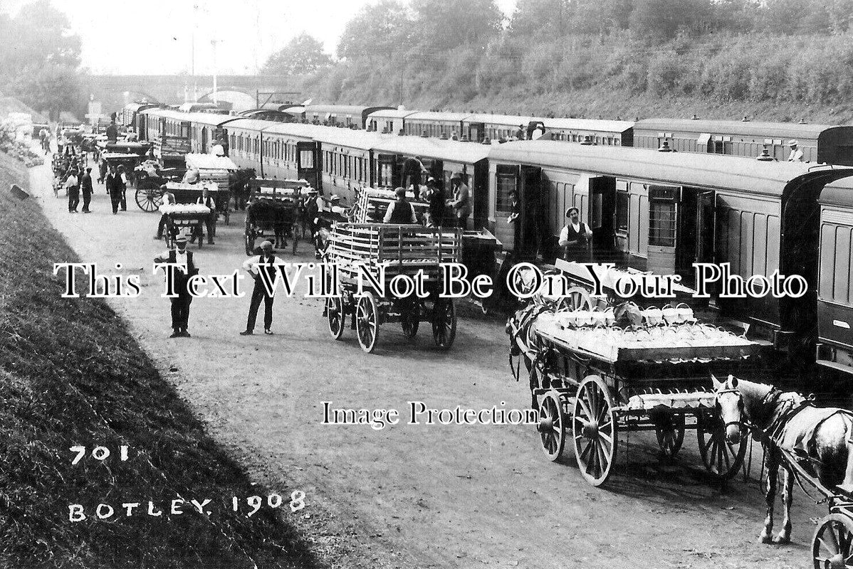 HA 3622 - Strawberry Loading, Botley Railway Station, Hampshire 1908