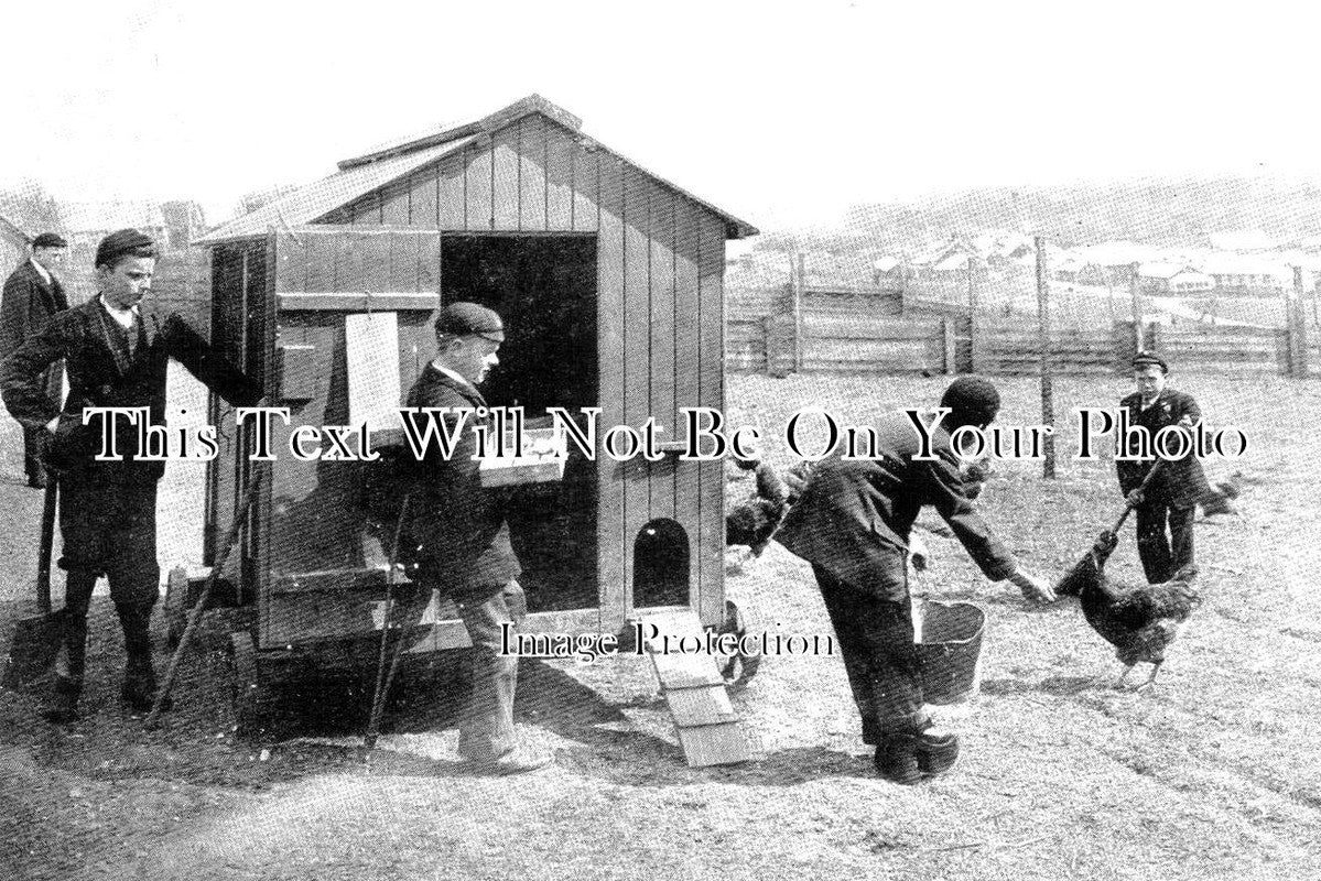 HA 3880 - Lord Mayors Treloar Cripples Home & College, Alton, Hampshire