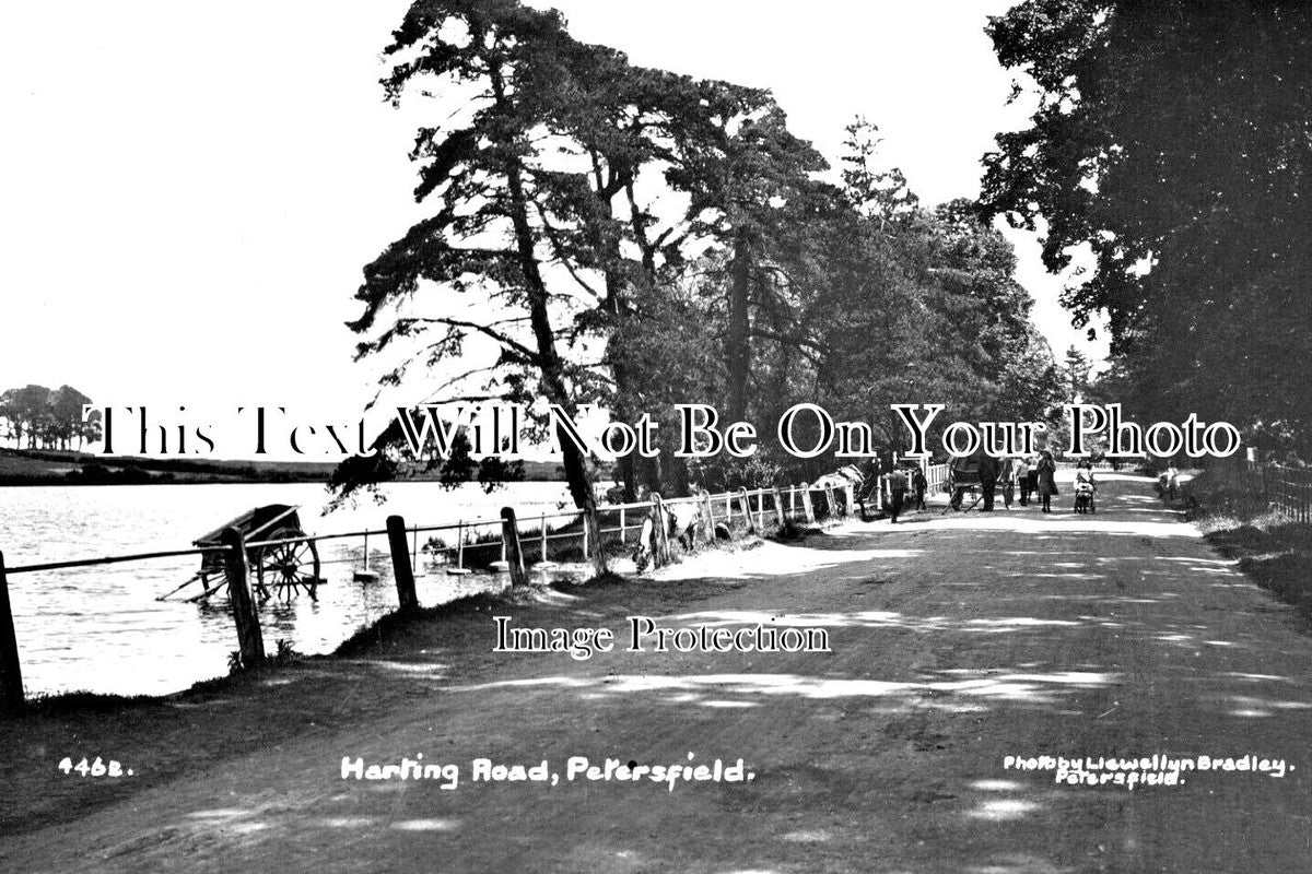 HA 3955 - Harting Road, Petersfield, Hampshire c1916