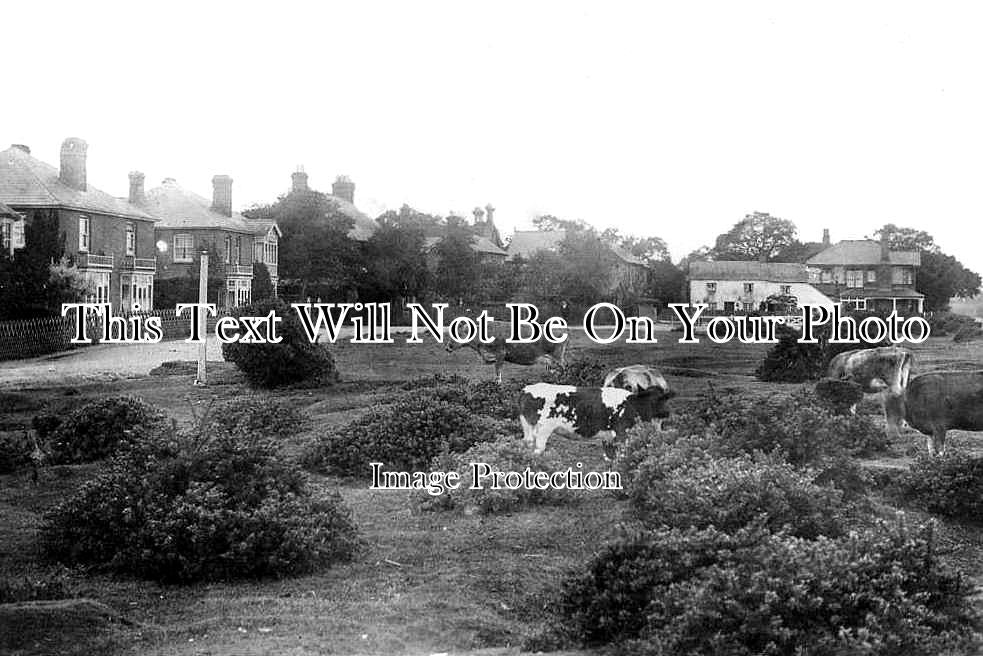 HA 4366 - Watersgreen, Brockenhurst, Hampshire