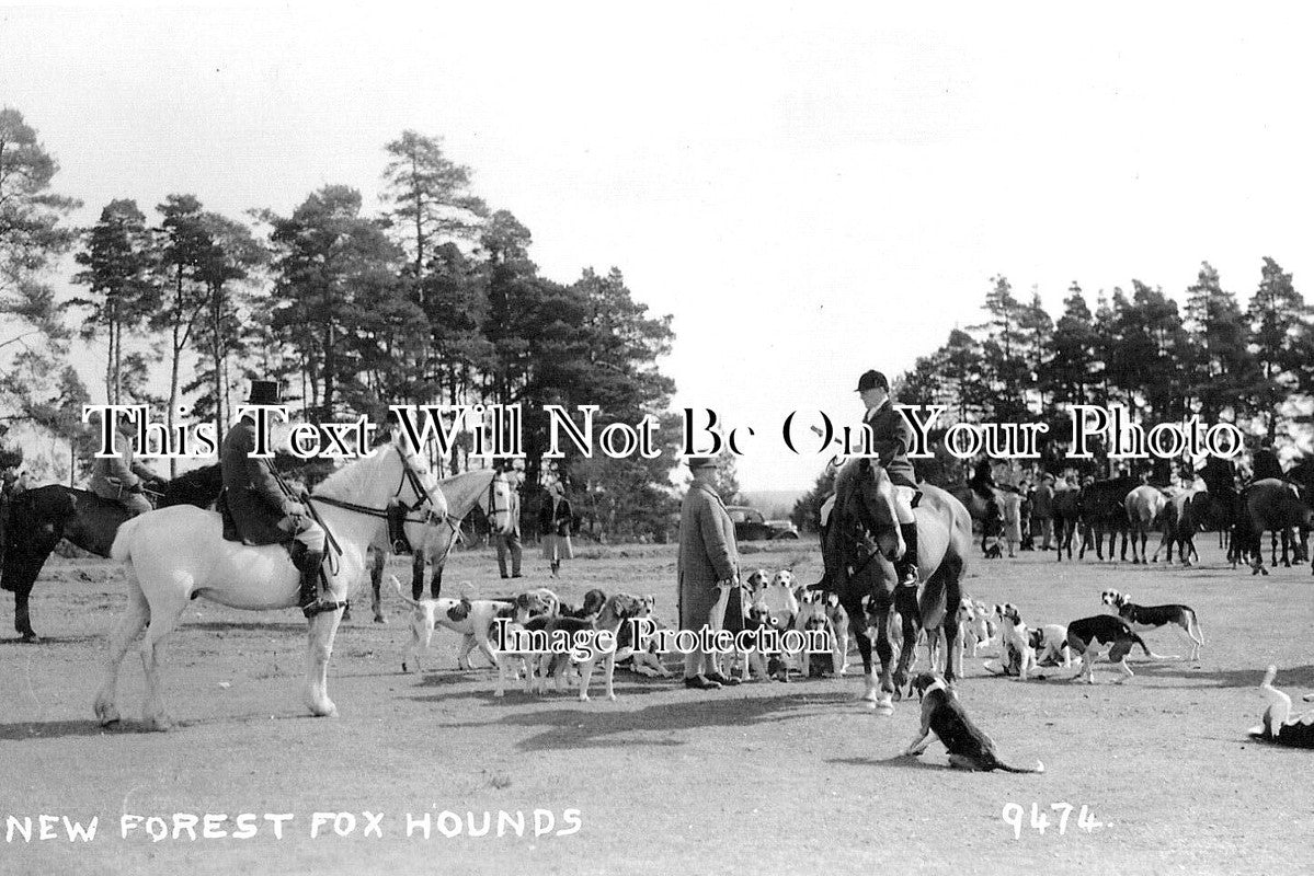 HA 4810 - New Forest Fox Hounds, Hampshire