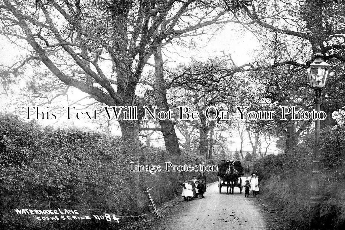 HA 4906 - Waterhouse Lane, Southampton, Hampshire c1907