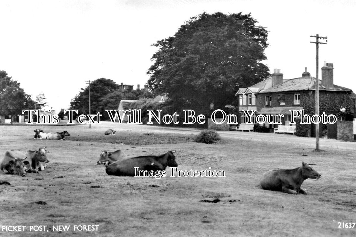 HA 4943 - Picket Post, New Forest, Hampshire