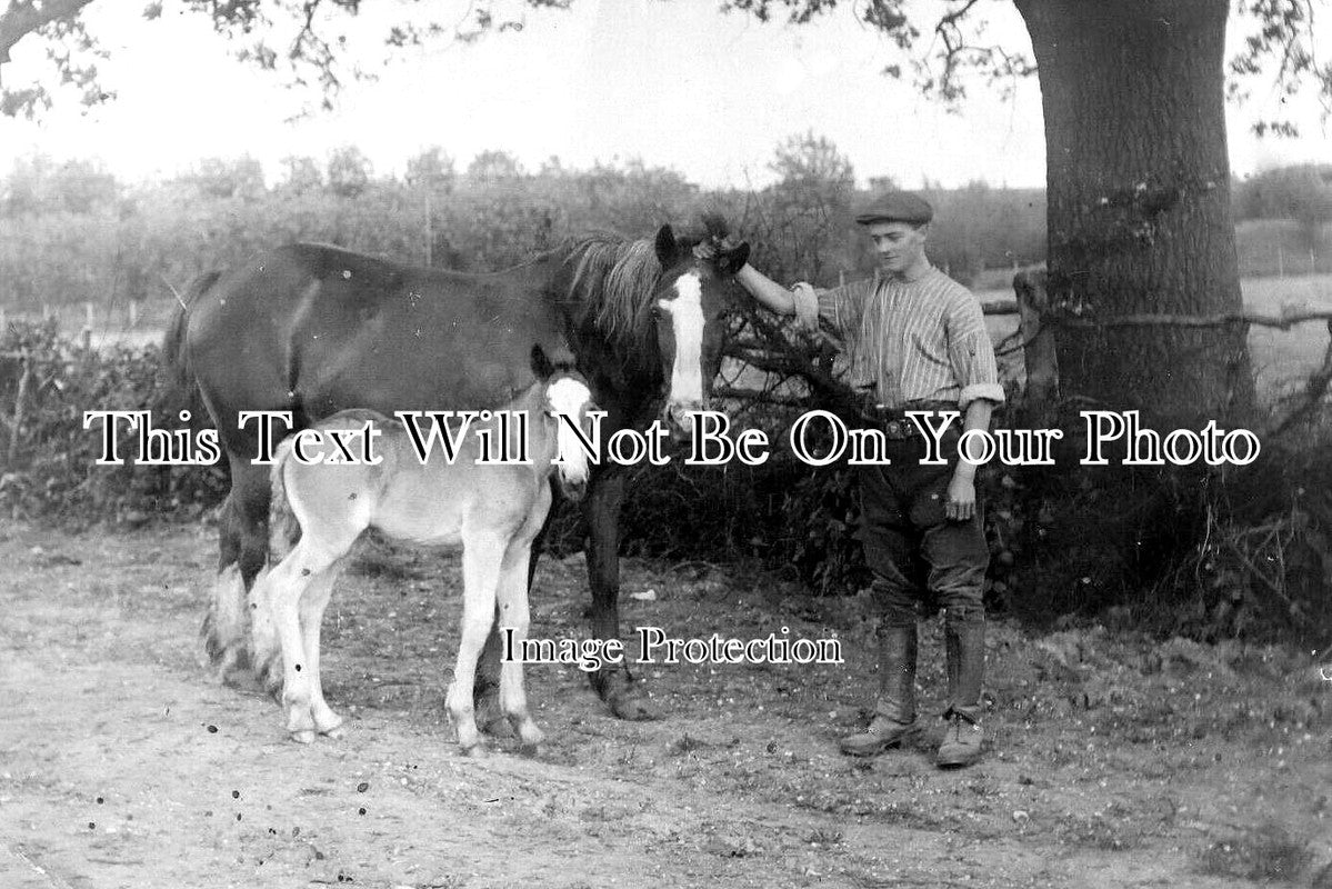 HA 5138 - Manor Farm, Otterbourne, Hampshire c1910