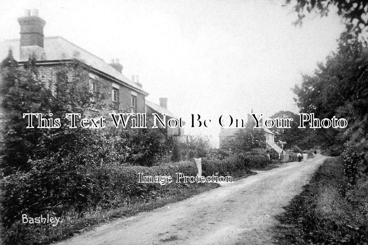 HA 5173 - Bashley, Hampshire c1905