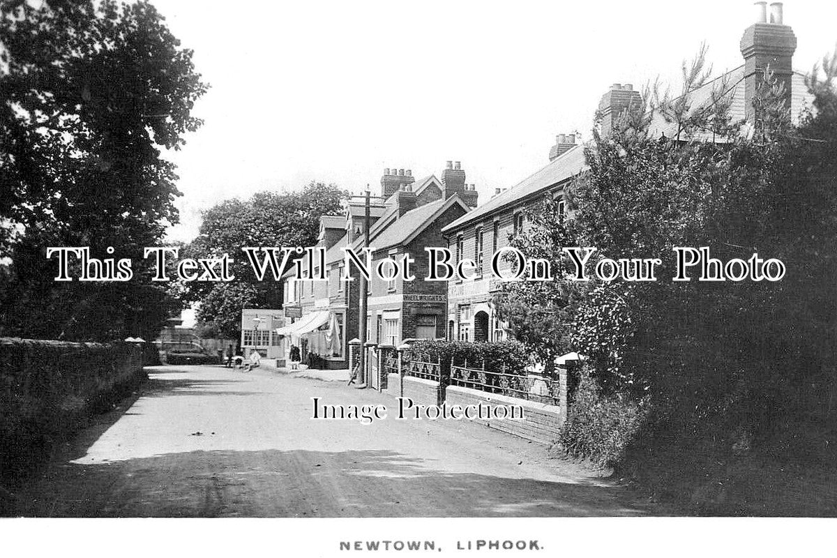 HA 5657 - Newtown, Liphook, Hampshire c1916