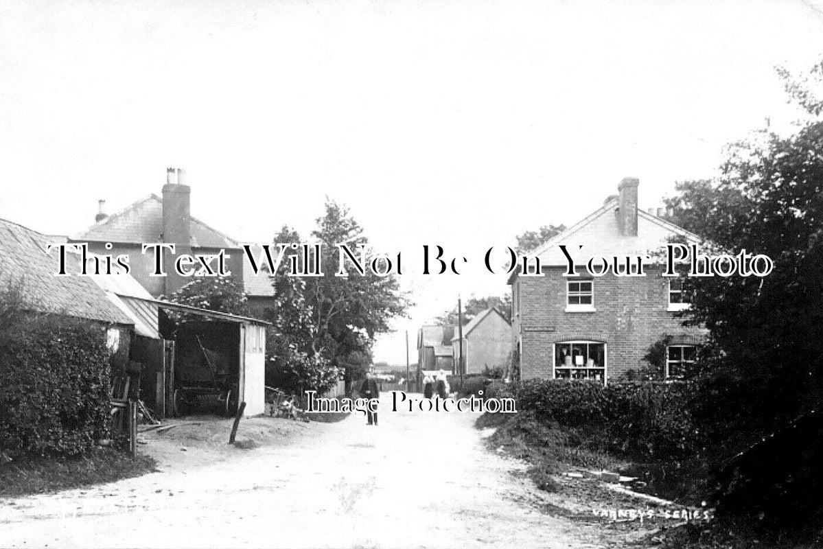 HA 5677 - Medstead, Hampshire c1904