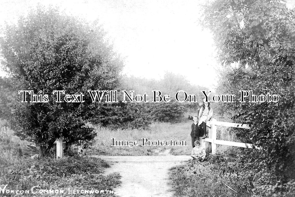 HF 1562 - Norton Common, Letchworth, Hertfordshire