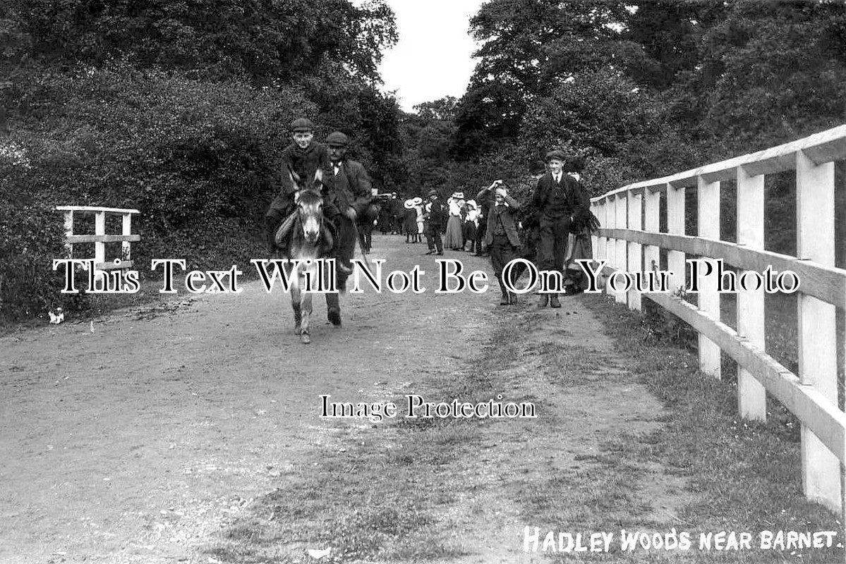 HF 2242 - Hadley Woods Near Barnet, Hertfordshire