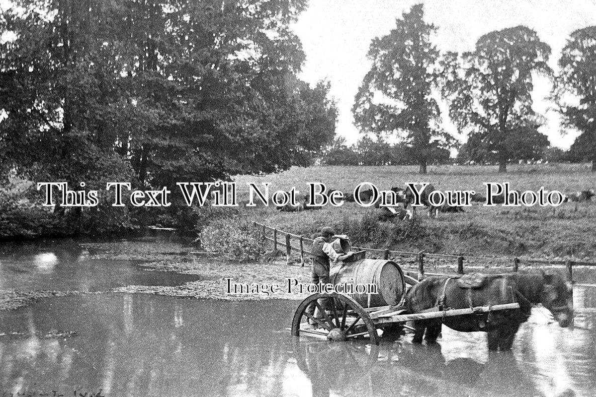 HF 2250 - Willian Pond, Letchworth Garden City, Hertfordshire