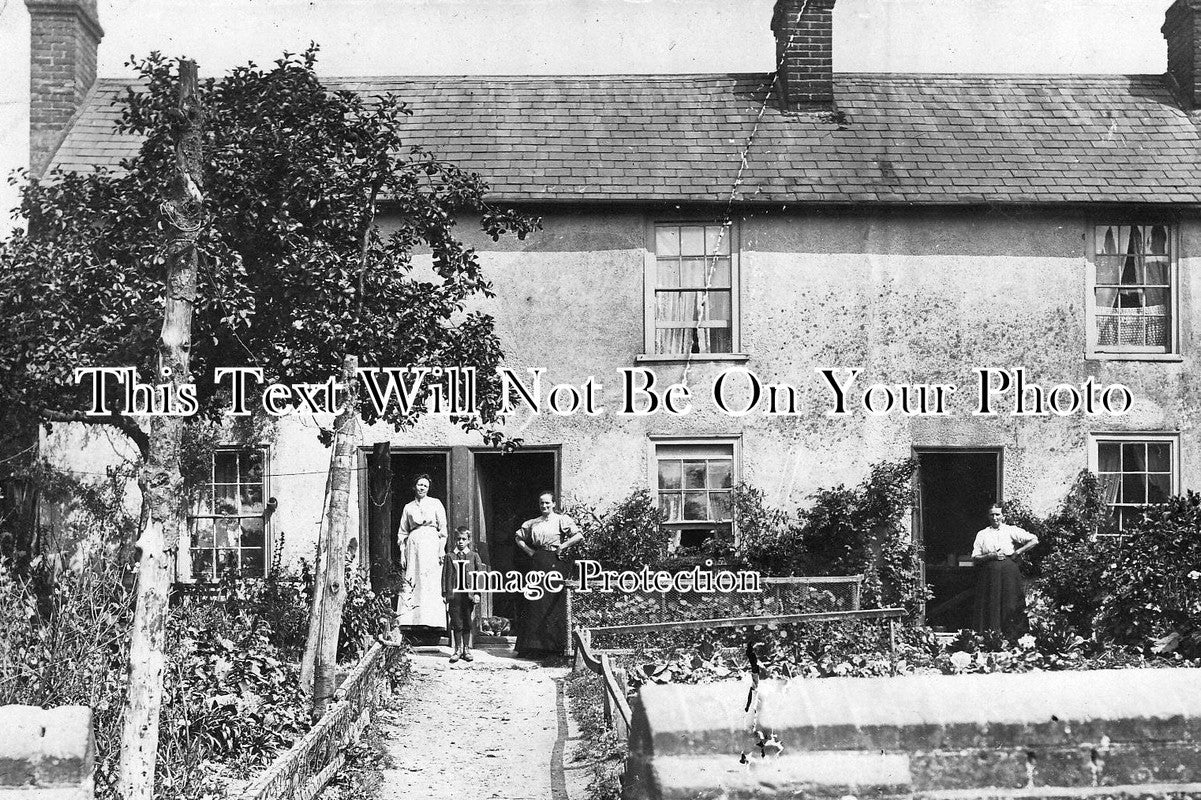 HF 288 - Cottages At Hemel Hempstead, Hertfordshire c1905